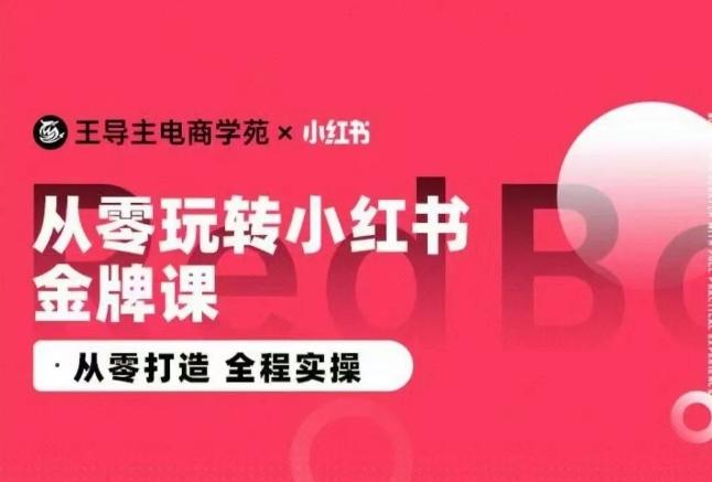 王导主·小红书电商运营实操课，​从零打造  全程实操-谷进海小站