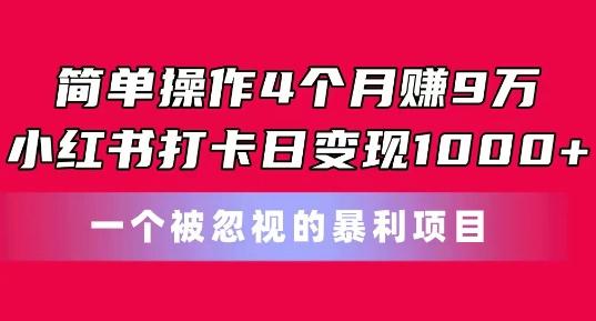 简单操作4个月赚9w，小红书打卡日变现1k，一个被忽视的暴力项目【揭秘】-谷进海小站