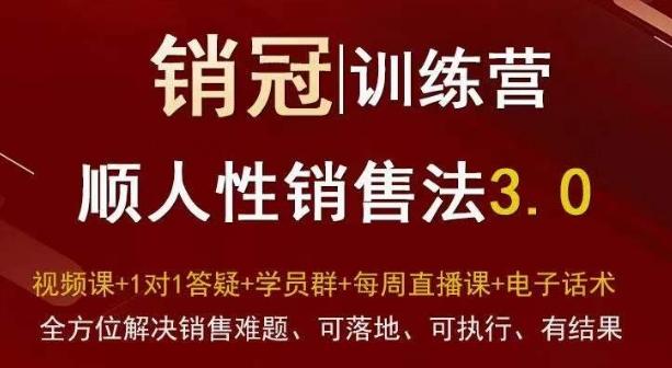 爆款！销冠训练营3.0之顺人性销售法，全方位解决销售难题、可落地、可执行、有结果-谷进海小站