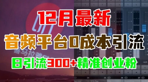 12月最新：音频平台0成本引流，日引流300+精准创业粉-谷进海小站