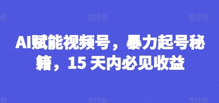 AI赋能视频号，暴力起号秘籍，15 天内必见收益【揭秘】-谷进海小站