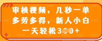 审核视频，几秒一单，多劳多得，新人小白一天轻松3张【揭秘】-谷进海小站