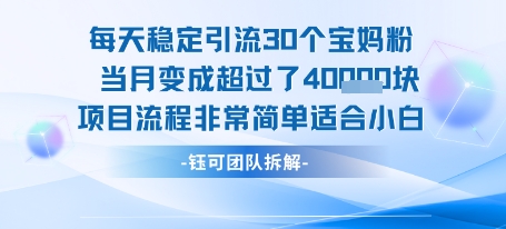 每天稳定引流30个人 当月变成超过了4个W项目流程非常简单适合小白-谷进海小站