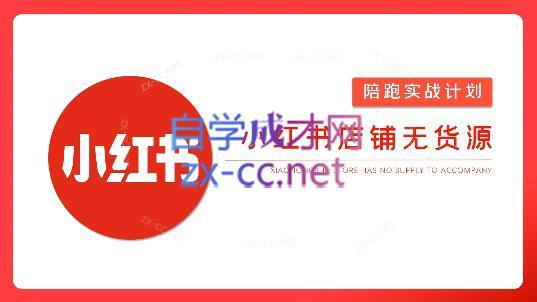 安琪·小红书店铺无货源-谷进海小站