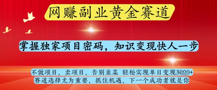 网创副业黄全赛道，掌握独家项目密码，知识变现快人一步，告别韭菜轻松实现单日变现1k+【揭秘】-谷进海小站