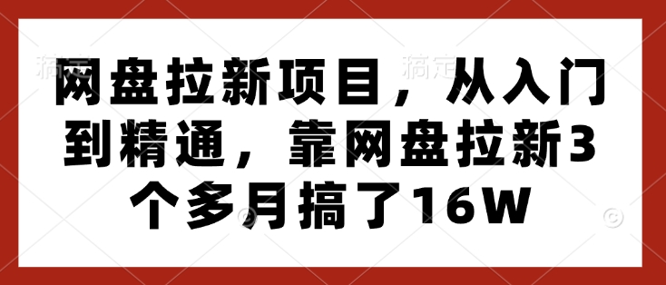 网盘拉新项目，从入门到精通，靠网盘拉新3个多月搞了16W-谷进海小站