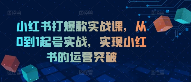 小红书打爆款实战课，从0到1起号实战，实现小红书的运营突破-谷进海小站