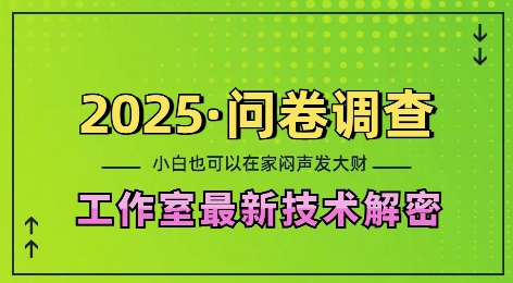 2025问卷调查最新工作室技术解密：一个人在家也可以闷声发大财，小白一天2张，可矩阵放大【揭秘】-谷进海小站