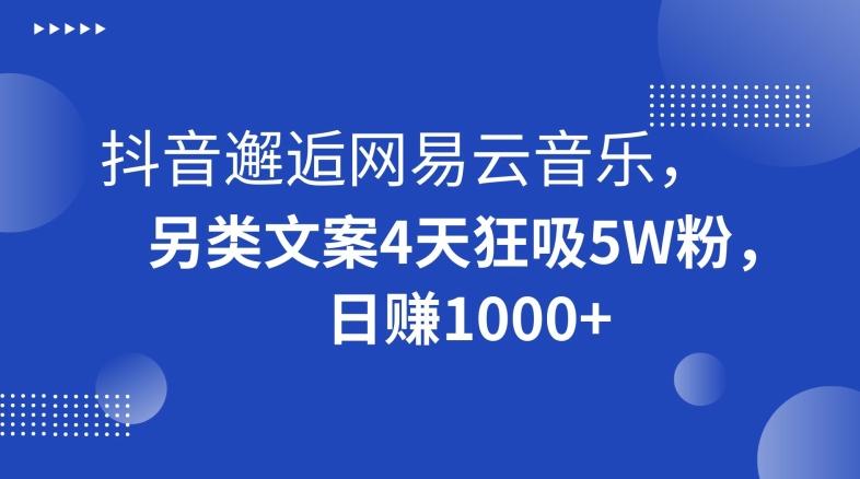 抖音邂逅网易云音乐，另类文案4天狂吸5W粉，日赚1000+【揭秘】-谷进海小站