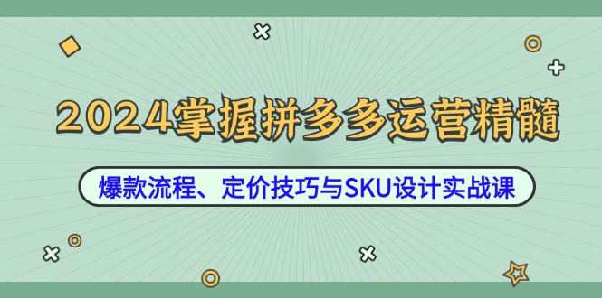2024掌握拼多多运营精髓：爆款流程、定价技巧与SKU设计实战课-谷进海小站