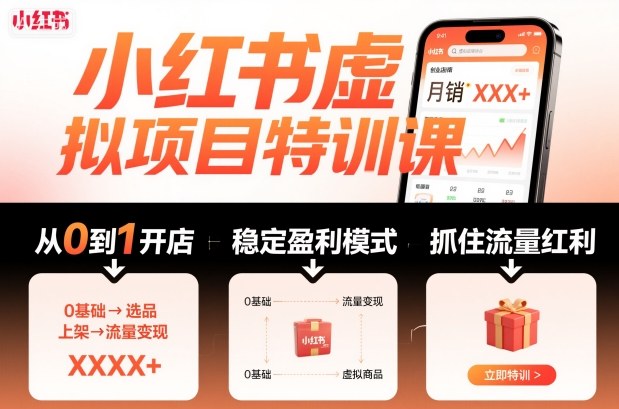 小红书虚拟项目特训课，帮你从0到1打造稳定盈利的店铺，抓住流量红利(更新9月)-谷进海小站