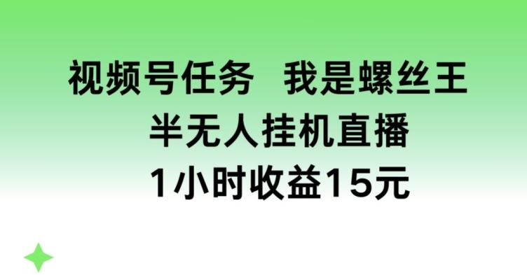 视频号任务，我是螺丝王， 半无人挂机1小时收益15元【揭秘】-谷进海小站