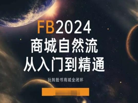 2024Faceboo商城自然流(从入门到精通)，玩转脸书商城全闭环-谷进海小站