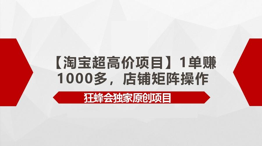 【淘宝超高价项目】1单赚1000多，店铺矩阵操作-谷进海小站