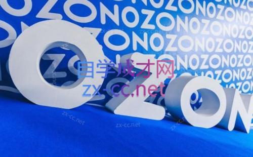 森哥·出海俄罗斯电商实操(2024)-谷进海小站