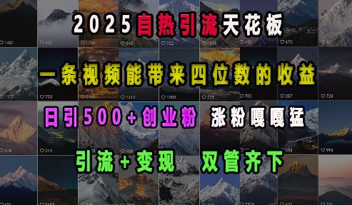 2025自热引流天花板，一条视频能带来四位数的收益，引流+变现双管齐下，日引500+创业粉，涨粉嘎嘎猛-谷进海小站