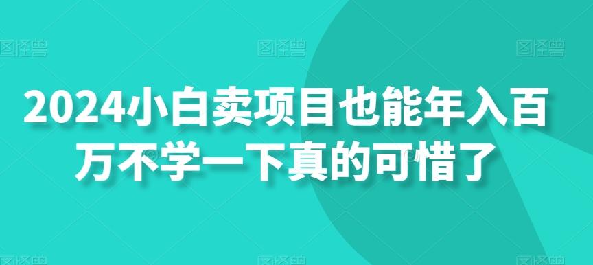 2024小白卖项目也能年入百万不学一下真的可惜了-谷进海小站