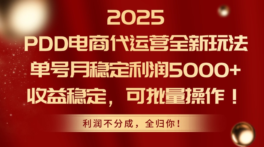 2025PDD电商代运营全新玩法，单号月稳定利润5000+，收益稳定，可批量操作-谷进海小站