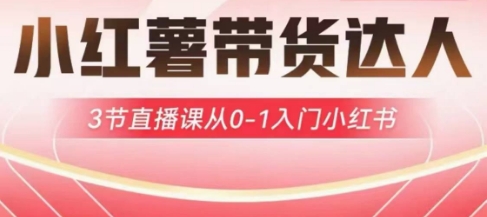 小红薯达人带货启航计划，3节直播课从0-1入门小红书-谷进海小站