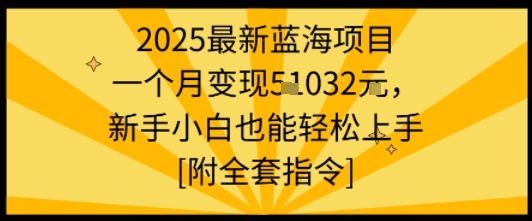 2025最新蓝海项目一个月变现1w+新手小白也能轻松上手【附全套指令】-谷进海小站