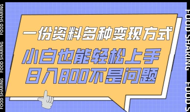 一份资料多种变现方式，小白也能轻松上手，日入800不是问题【揭秘】-谷进海小站