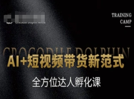 AI+短视频带货新范式，全方位达人孵化课-谷进海小站