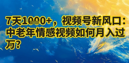 7天收益1k+，视频号新风口：中老年情感视频如何月入过W?-谷进海小站