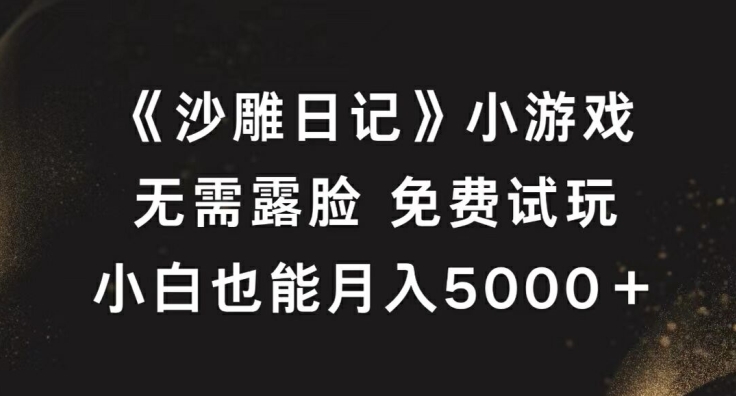 《沙雕日记》小游戏，无需露脸免费试玩，小白也能月入5000+【揭秘】-谷进海小站