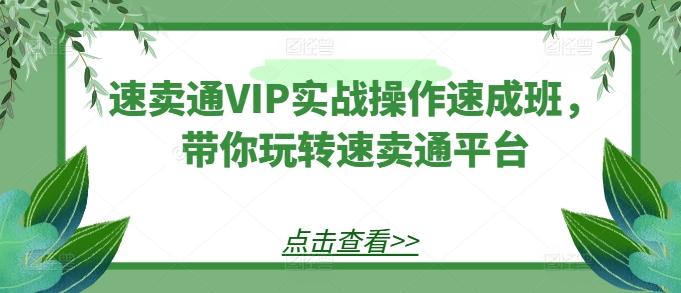 速卖通VIP实战操作速成班，带你玩转速卖通平台-谷进海小站