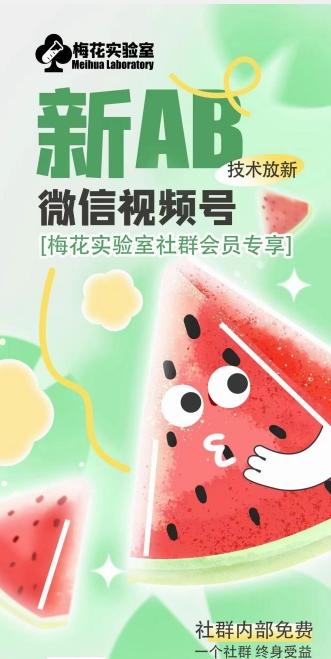 梅花实验室2024年AB技术视频号AB合成破解版-谷进海小站