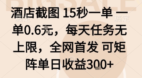 酒店截图15秒一单，一单0.6米，每天任务无上限，全网首发可矩阵单日收益3张【揭秘】-谷进海小站