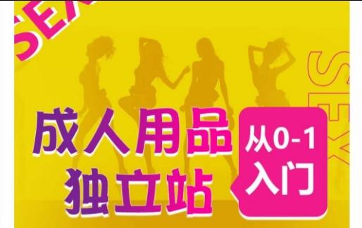 成人用品独立站从0-1入门，成品独立站运营全流程教学，七大好卖成品独立站推荐-谷进海小站