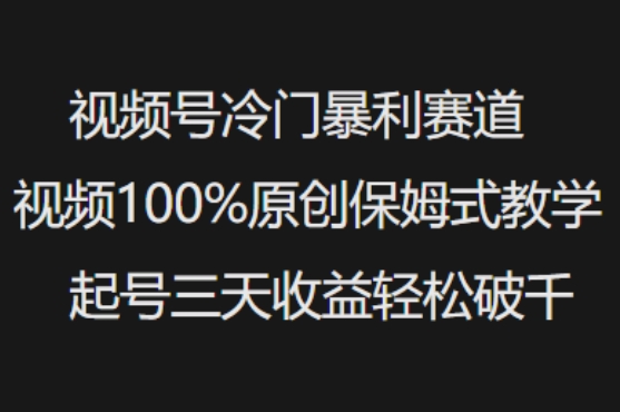 视频号冷门暴利赛道视频100%原创保姆式教学起号三天收益轻松破千-谷进海小站