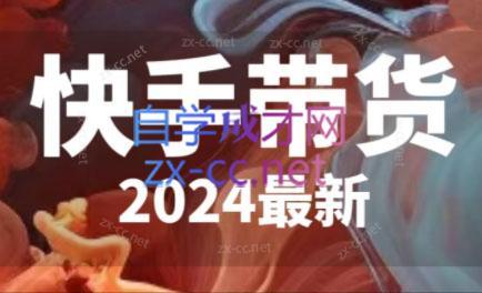 快手带货(2024最新)-谷进海小站