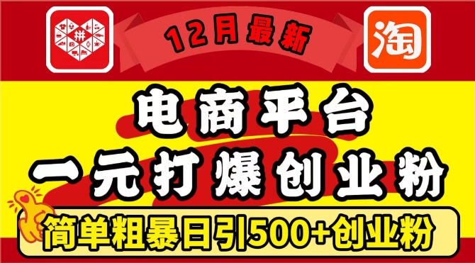 12月最新：电商平台1元打爆创业粉，简单粗暴日引500+精准创业粉，轻松月入过W【揭秘】-谷进海小站