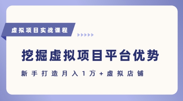 抓住虚拟项目各平台优势，新手轻松月入1W+(给出具体建议)-谷进海小站
