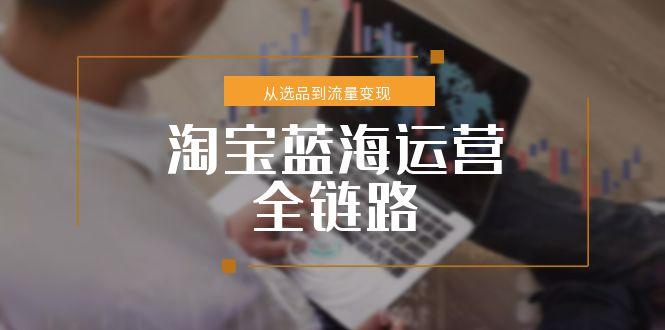 淘宝蓝海运营全链路，从选品到流量变现，小类目突围完整方案-谷进海小站