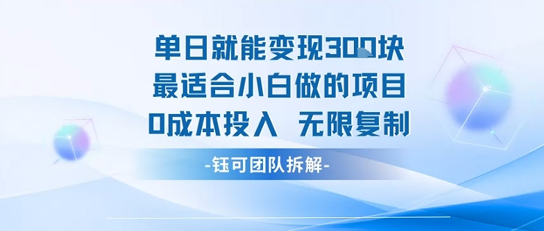 单日就能变现3张最适合小白做的项目0成本投入 无限复制-谷进海小站