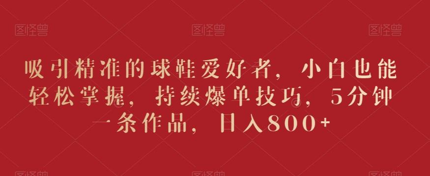 吸引精准的球鞋爱好者，小白也能轻松掌握，持续爆单技巧，5分钟一条作品，日入800+【揭秘】-谷进海小站