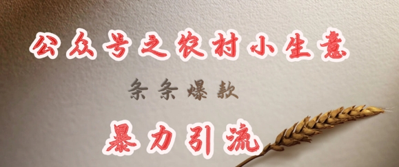 deepseek写农村小项目，条条爆款，暴力引流-谷进海小站