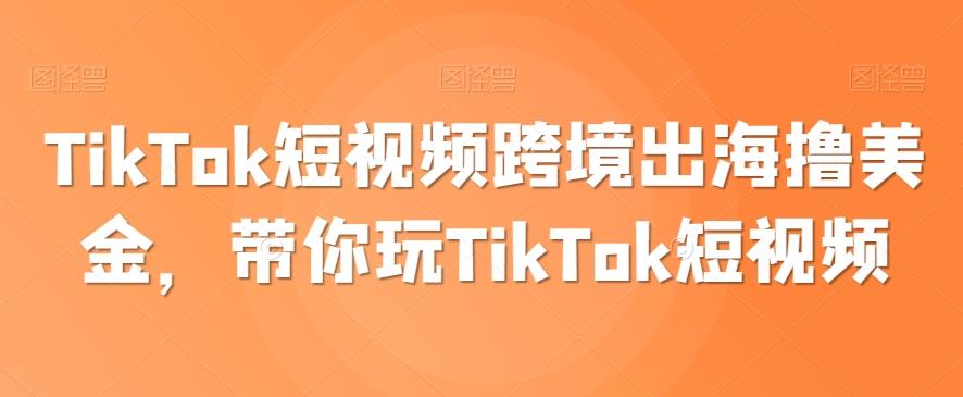 TikTok短视频跨境出海撸美金，带你玩TikTok短视频-谷进海小站