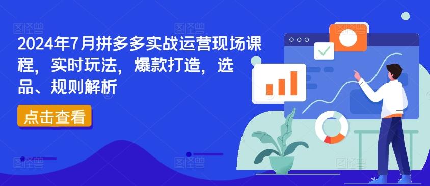 2024年7月拼多多实战运营现场课程，实时玩法，爆款打造，选品、规则解析-谷进海小站