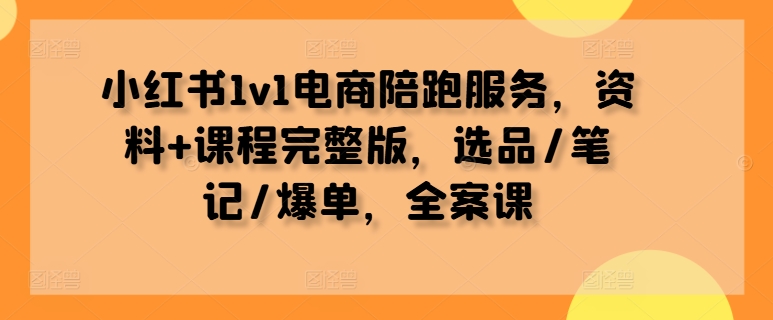 小红书1v1电商陪跑服务，资料+课程完整版，选品/笔记/爆单，全案课-谷进海小站