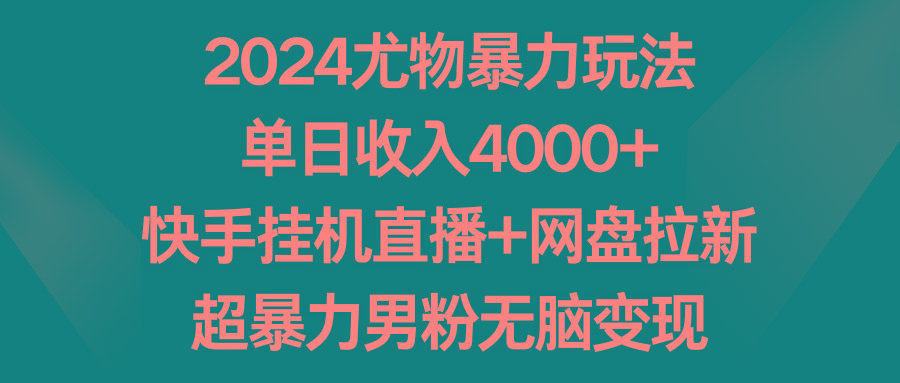 2024尤物暴力玩法 单日收入4000+快手挂机直播+网盘拉新 超暴力男粉无脑变现-谷进海小站
