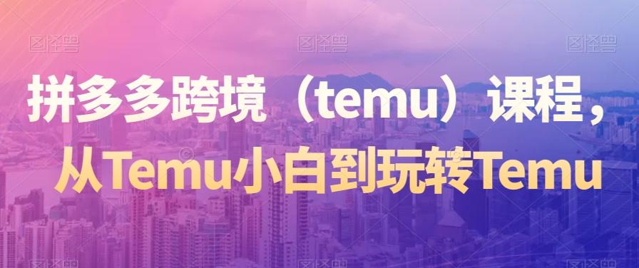拼多多跨境（temu）课程，从Temu小白到玩转Temu-谷进海小站