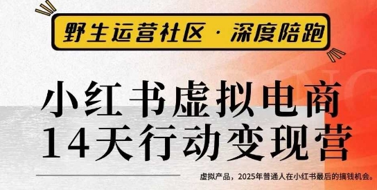 小红书虚拟电商14天变现训练营3.0，​虚拟产品，2025年普通人在小红书最后的搞钱机会-谷进海小站