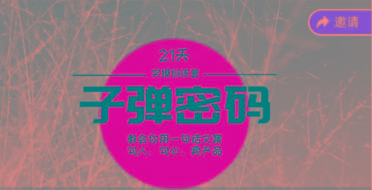《子弹密码训练营》-用一句话文案勾人勾心卖产品，21天学到顶尖文案大师策略和技巧-谷进海小站