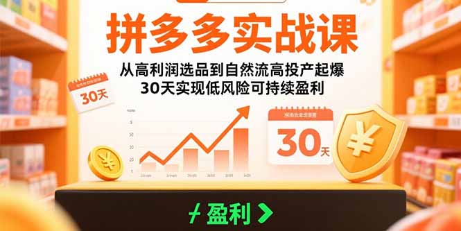 拼多多实战课：从高利润选品到自然流高投产起爆 30天实现低风险可持续盈利-谷进海小站