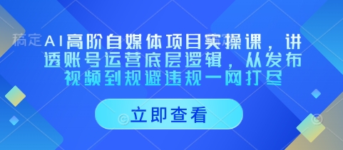 AI高阶自媒体项目实操课，讲透账号运营底层逻辑，从发布视频到规避违规一网打尽-谷进海小站