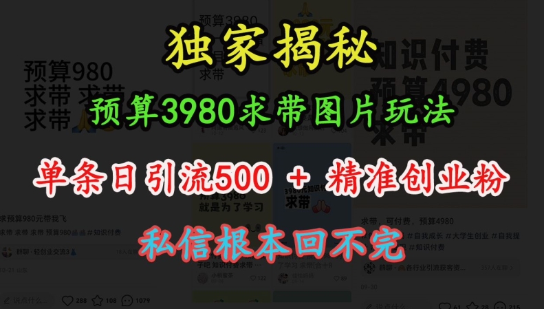 预算3980求带 图片玩法，单条日引流500+精准创业粉，私信根本回不完-谷进海小站
